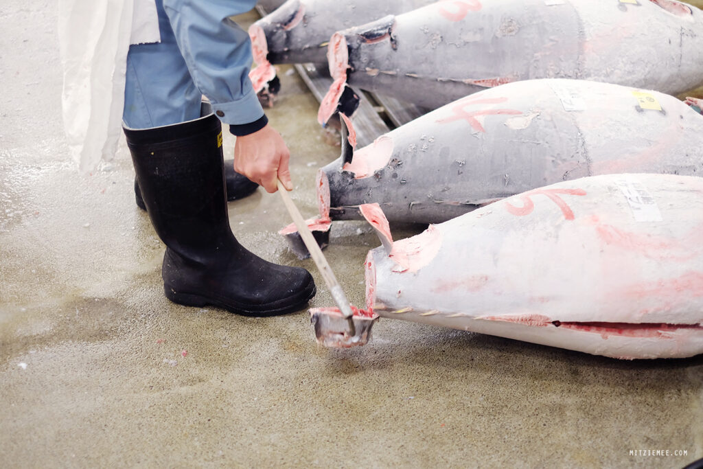 Tokyo: Tunauksjonen på Tsukiji Fiskemarked