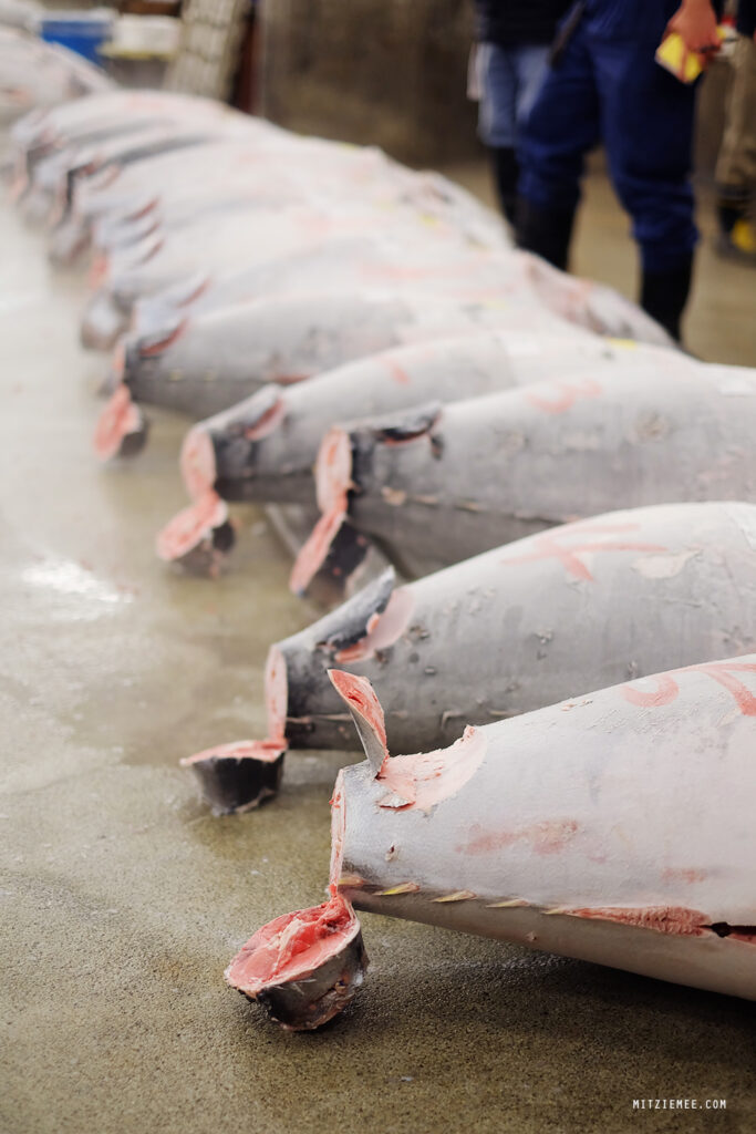 Tokyo: Tunauksjonen på Tsukiji Fiskemarked