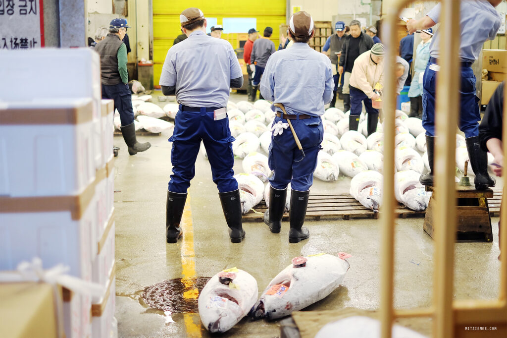 Tokyo: Tunauksjonen på Tsukiji Fiskemarked