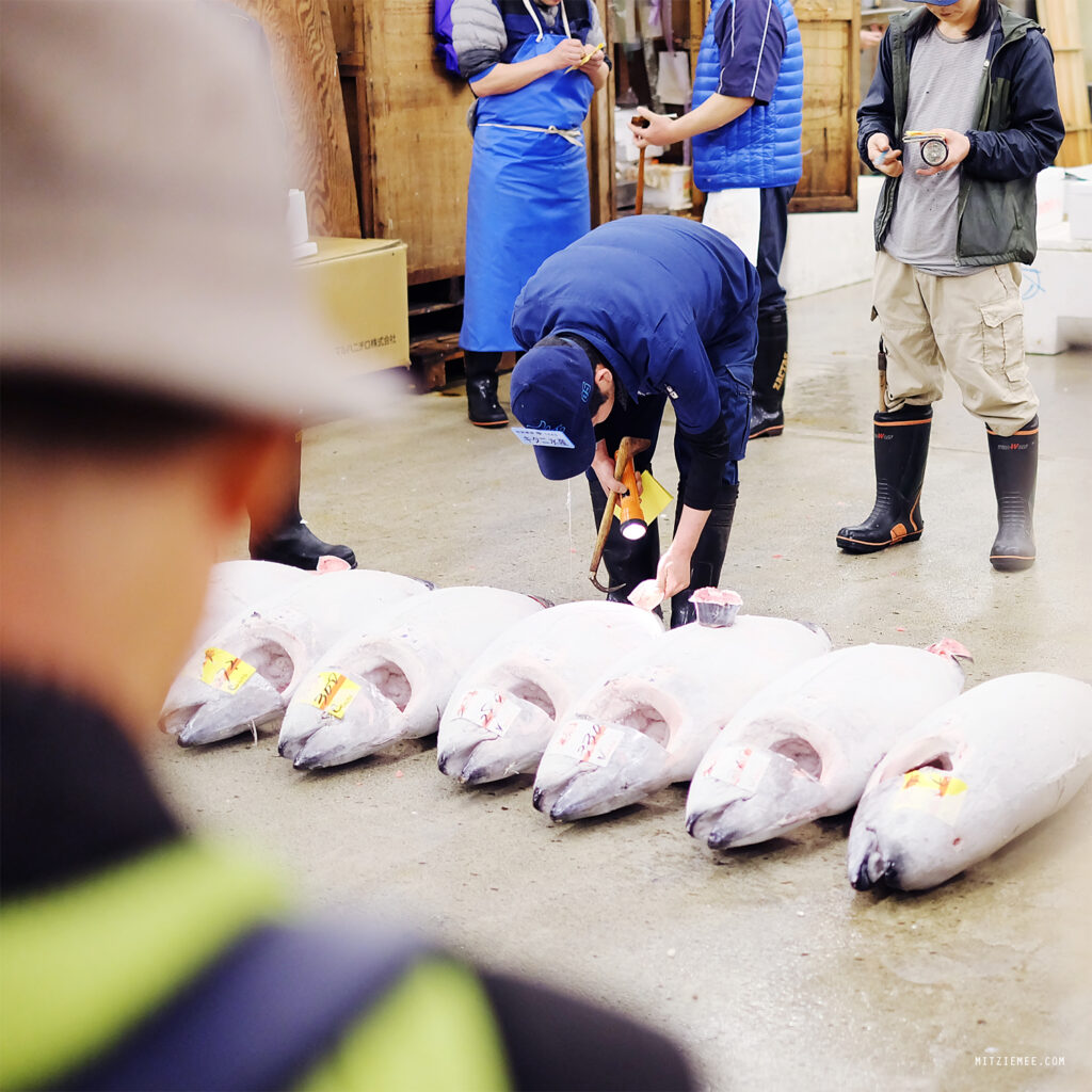 Tokyo: Tunauksjonen på Tsukiji Fiskemarked