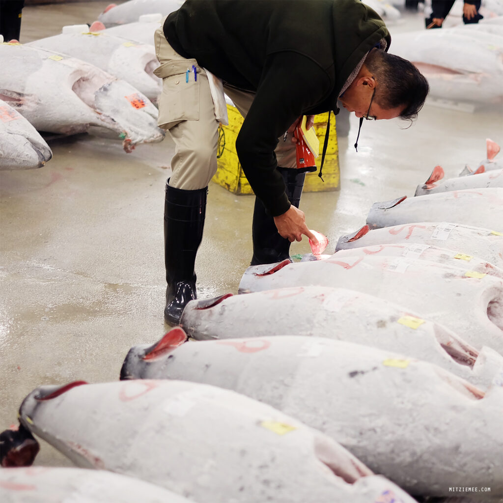 Tokyo: Tunauksjonen på Tsukiji Fiskemarked