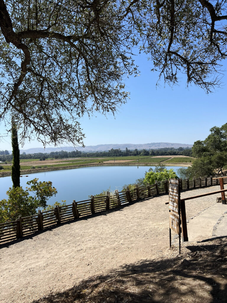 California: Gundlach Bundschu Winery i Sonoma